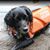 Brenda Kromer's profile image
