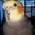 Gilbert Contreras's profile image