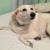 Julie Haggart Warner's profile image