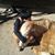 Robert Castellitto's profile image