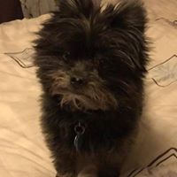 Allyne Lloyd's profile image