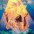 Vickie S. Rosker's profile image