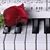 Rose Eide-Altman's profile image