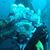 Vicky T. Martinez's profile image