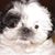 Mary Mitchell's profile image
