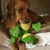 Dianne Piercy's profile image
