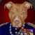 Dave Wilson's profile image