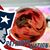 Jeffery Bedard's profile image
