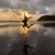 Amy Bender's profile image