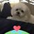 Rosa Ergas's profile image