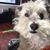 Jessica O'Neill Bertram's profile image