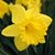 Mary Murray's profile image