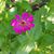 Gayle Taylor's profile image