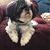 Susan Wigle's profile image