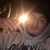 Anthony Youngster's profile image