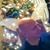 Dennis George Rudolph's profile image