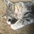 Michele Ann Brewer's profile image