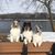 Steffany Christianson's profile image