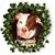 Sue Pitty King's profile image