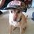 Deb Behan's profile image