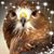 Kevin Ringler's profile image