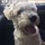 Ross Sudbury's profile image