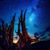 Lisa Smith's profile image