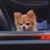 Robert Mischke's profile image