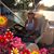 Nancy Mattes's profile image