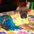 Joanne Lofthouse's profile image