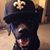 Shannon Deal Harvey's profile image