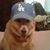 Robert Ruckman Sr's profile image
