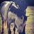Whitney Fray Garrett's profile image