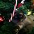 Maria Enes Michener's profile image