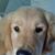 Bob Sikorski's profile image