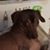 Don Carson's profile image