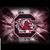 Richard Rushton's profile image