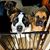 Melissa Hix's profile image
