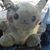 Katrina Kloepper's profile image