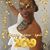Andria Williams's profile image