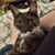 Cadiann Nicole Lucas's profile image