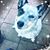 Angela Vlas Wood's profile image