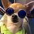 Lisa Schrepfer Maron's profile image