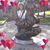 Michelle Ward's profile image