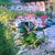 Md Kawsar Ahmed's profile image