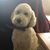 Kevin Kennedy's profile image