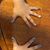 Nelma Poblete's profile image