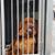 Kim Cannon Noyes's profile image