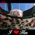Julie Horvath's profile image