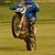 Stephen G Thompson's profile image